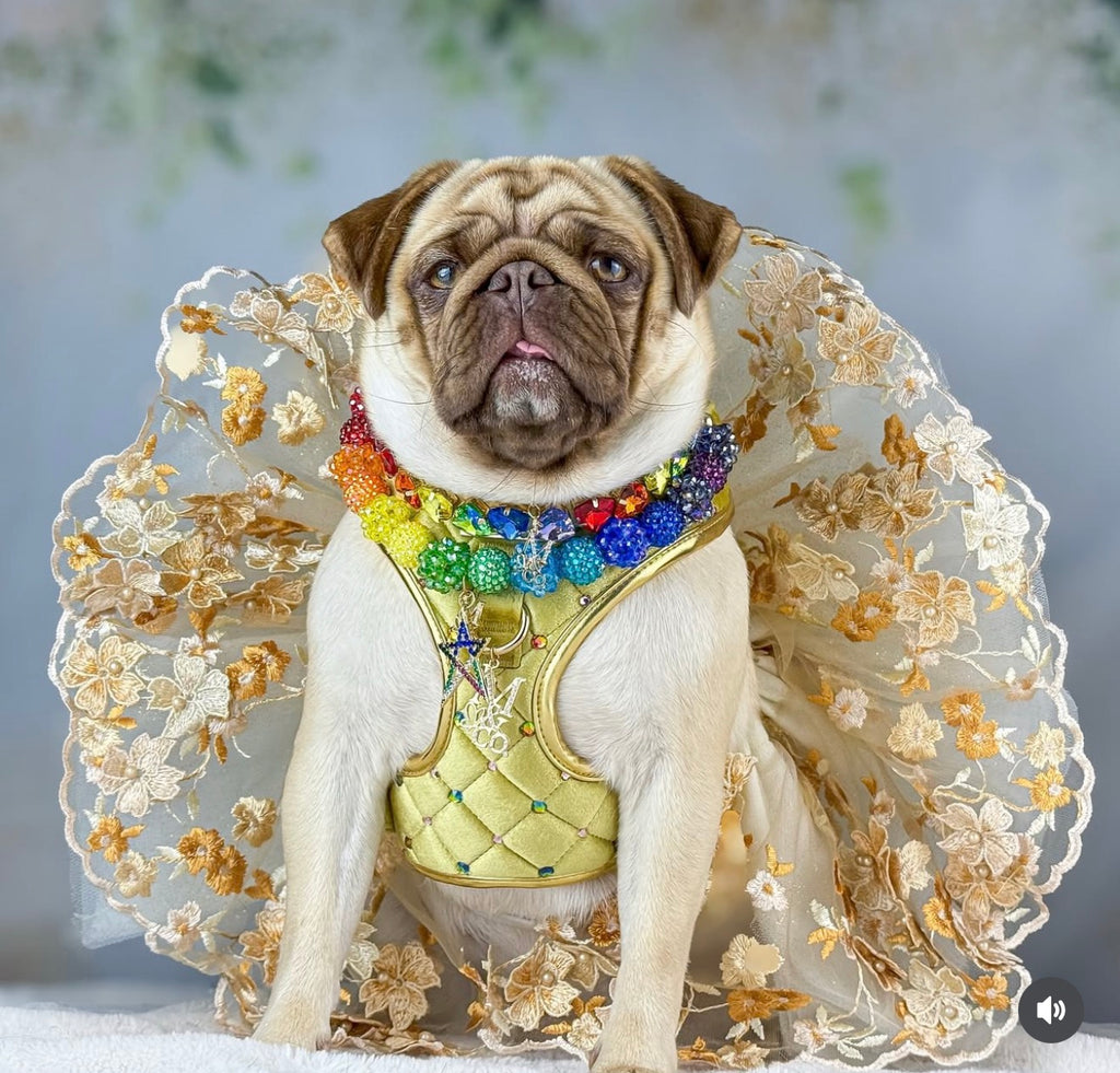 Shades of Gold Tutu (Pre-Order)