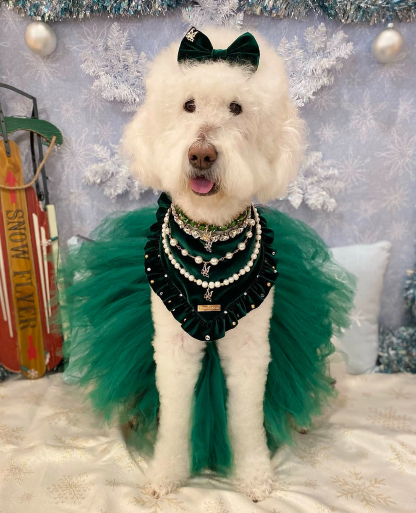 Holiday Collection: Emerald Essence | LittleMaggieandCo Holiday Collection: Emerald Essence | LittleMaggieandCo