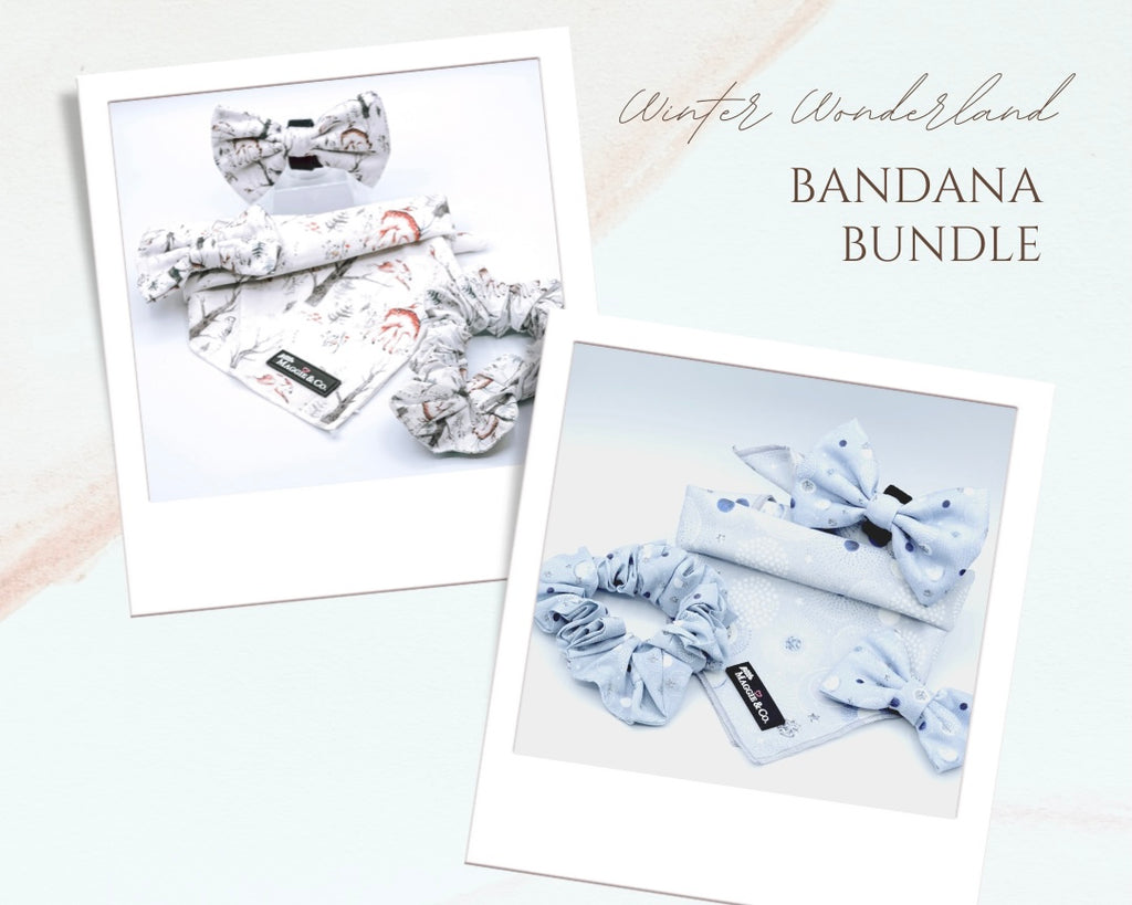 Winter Wonderland Bandana Bundle