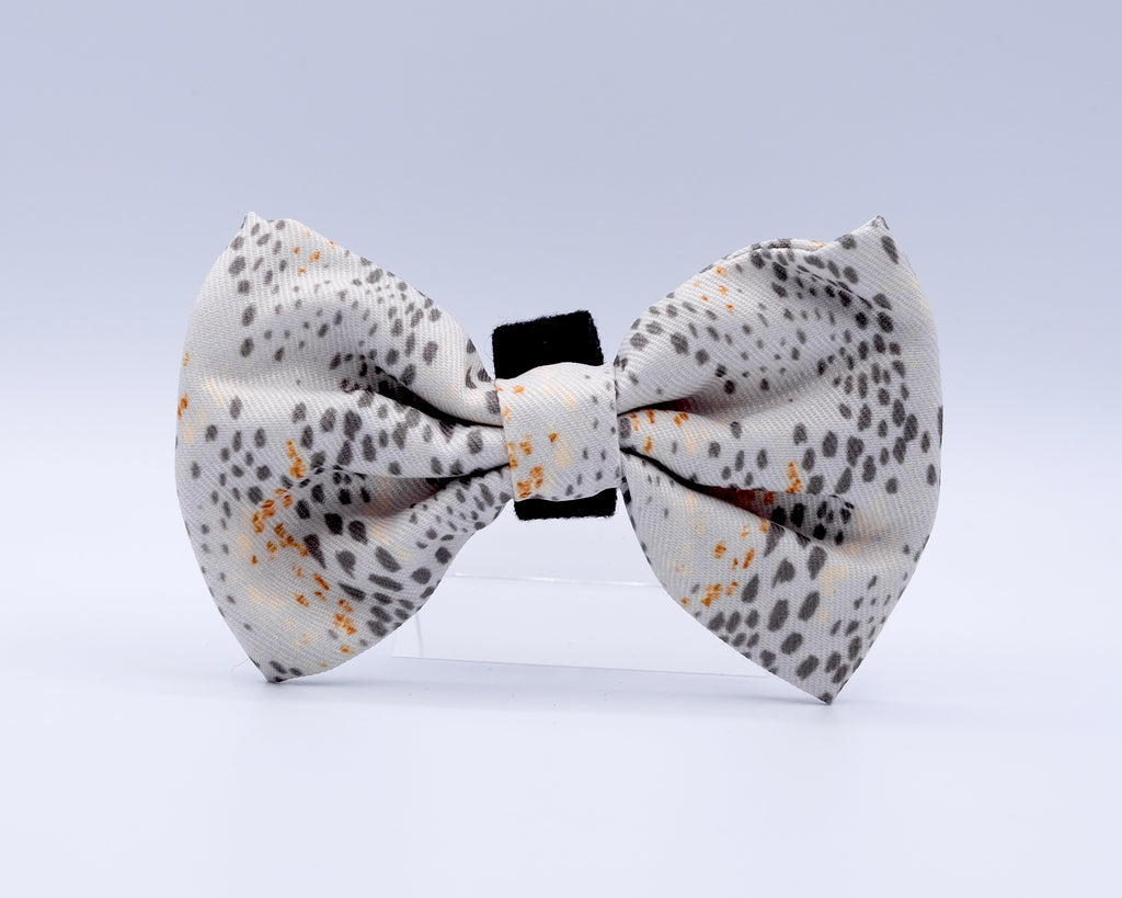 Pawfect Beauty Bow Tie